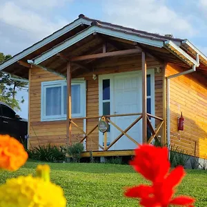 Flor Do Campestre , Urubici Brasil